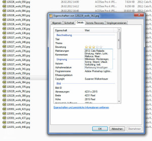 Fotoarchivierung - Verschlagwortung über Windows Explorer